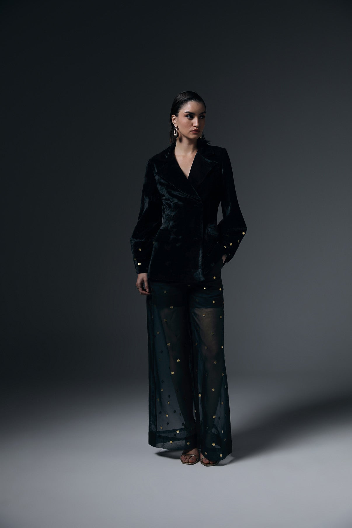 Adele Blazer And Sheer Pants