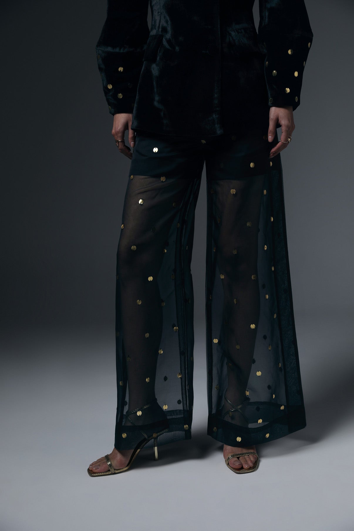 Adele Blazer And Sheer Pants